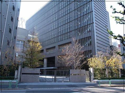 田中みな実