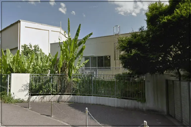 宮澤エマ 小学校