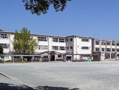 田村真子 学歴