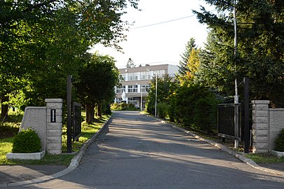 丸山礼　北見藤女子高等学校 wikipedia
