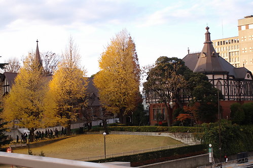 土屋神葉 明治学院高校 wikipedia
