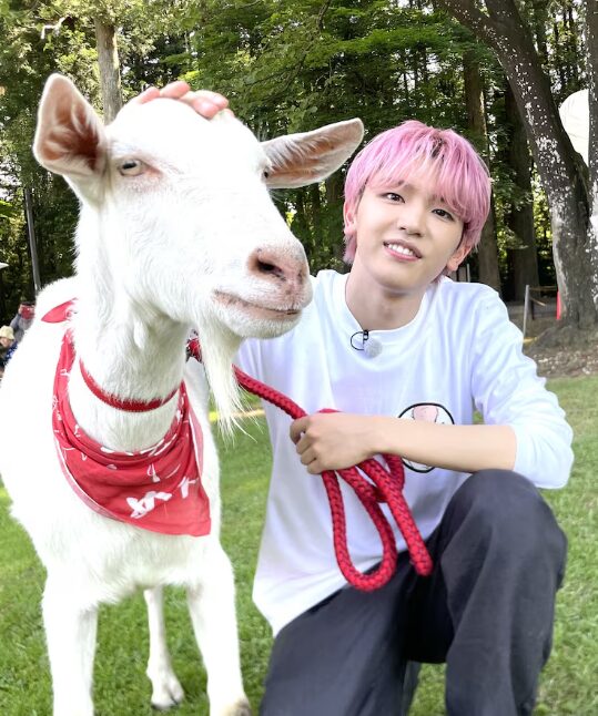 テレビ東京系「ヤギと大悟」に出演した高塚大夢