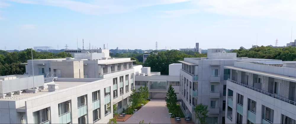 鈴木愛理　慶応義塾大学 wikipedia
