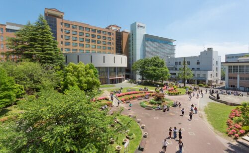 松川星　桜美林大学