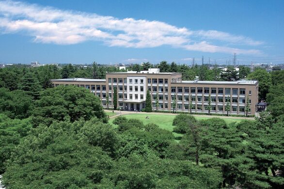 モモコグミカンパニー 国際基督教大学高校出身
