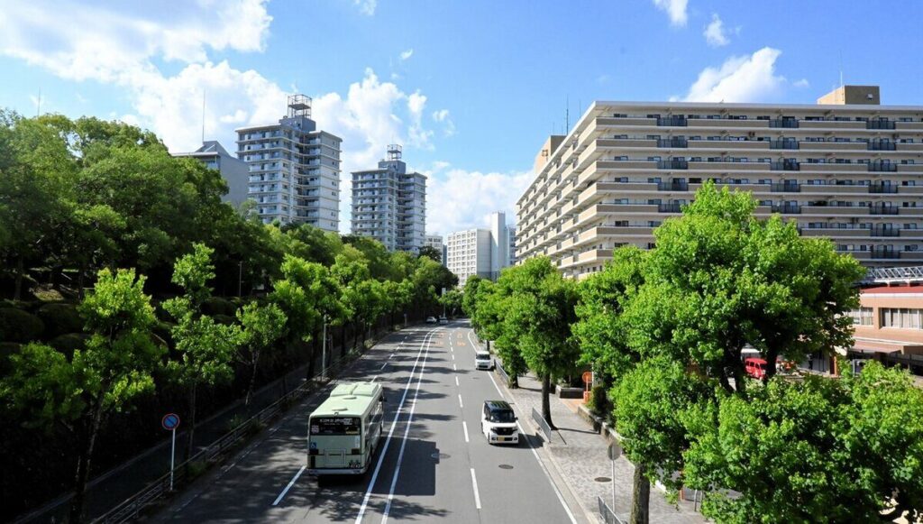 簡秀吉の学歴