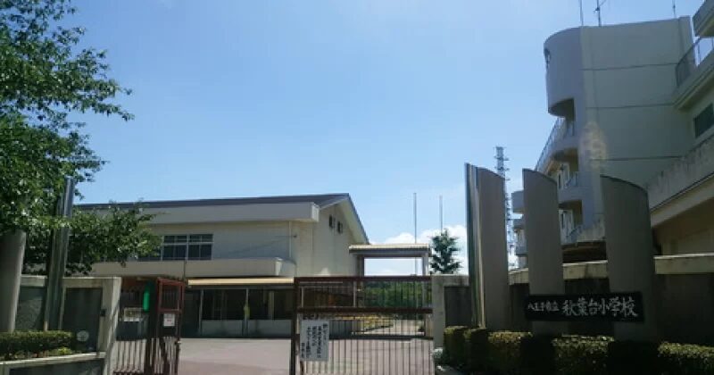 松下洸平 八王子市立秋葉台小学校