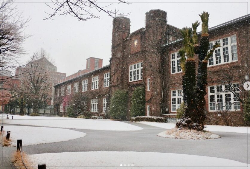 立教大学 川﨑桜