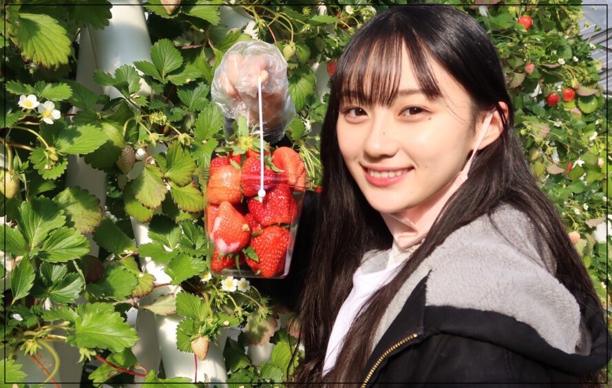 川﨑桜 学歴 大学
