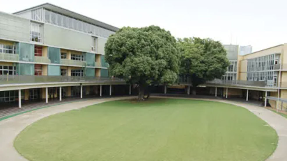 中山翔貴 青山学院初等部 X