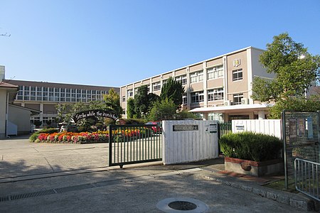 中田青渚 神戸市立唐櫃中学校 X