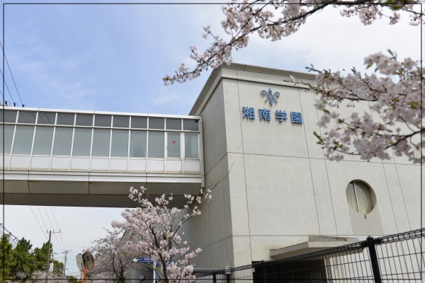 湘南学園高校 川﨑桜