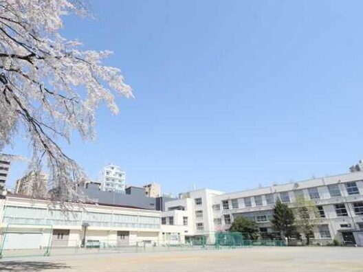 佐藤玲 お茶の水女子大学附属高校