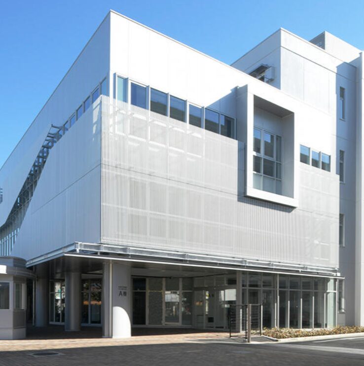 日本大学芸術学部 佐藤玲