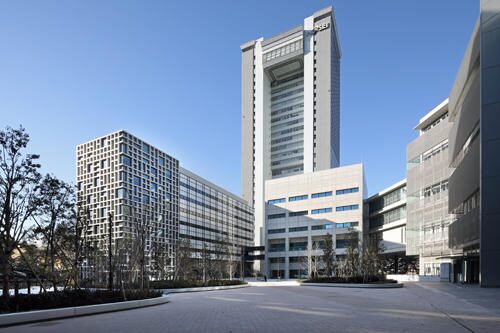 白河れい 法政大学出身