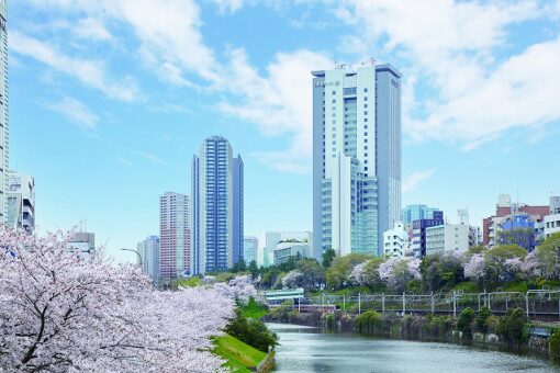 長友彩海 法政大学