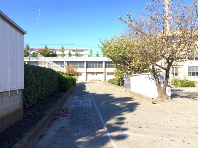 松田詩野 茅ヶ崎市立東海岸小学校 X