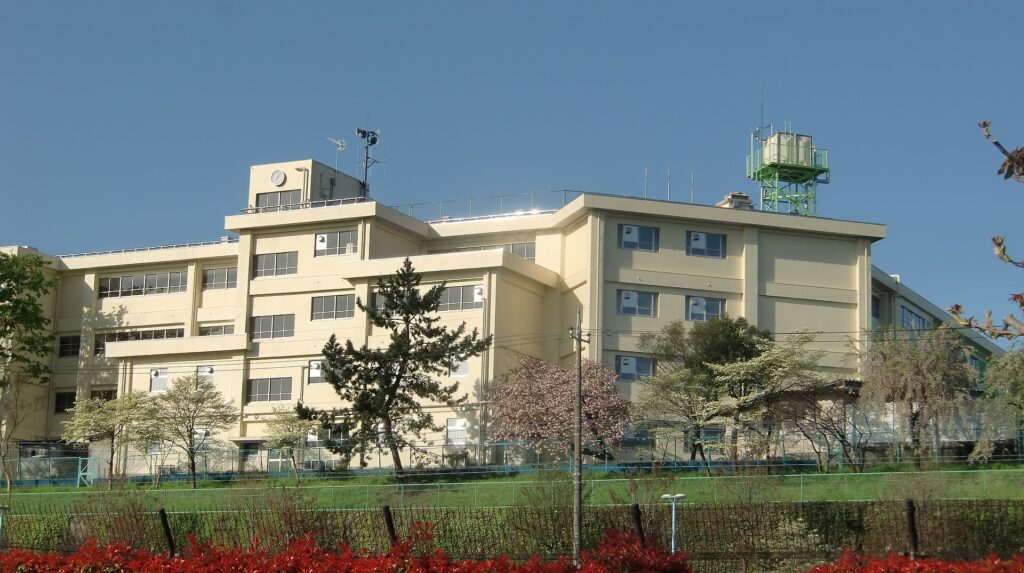 阪口珠美 出身中学校