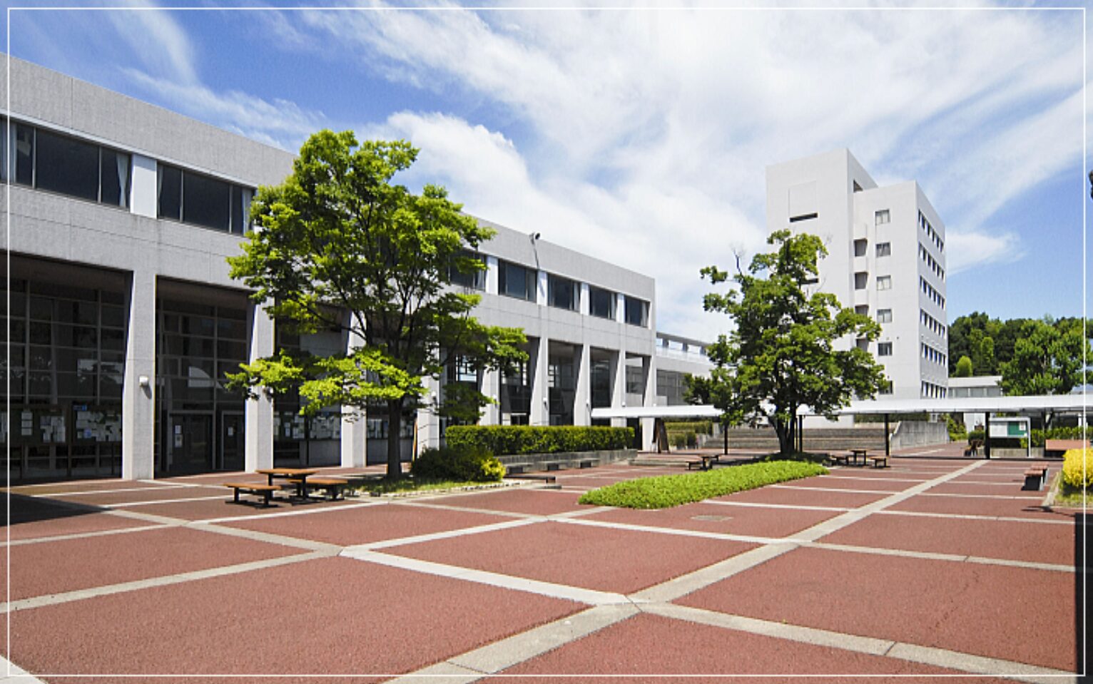 岡村真 四日市大学