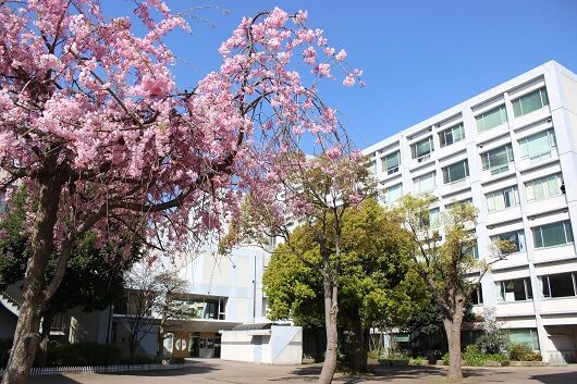 窪田正孝 南中学校 バスケットボール