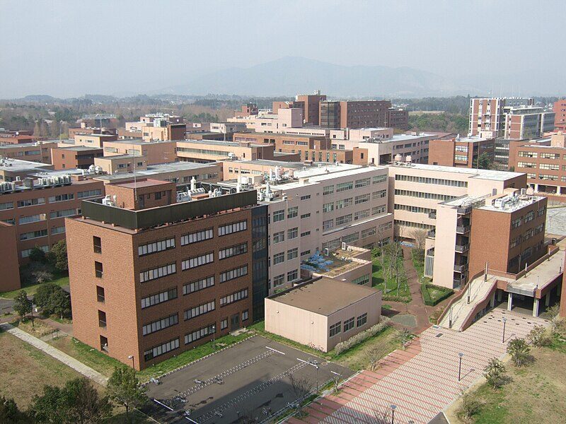 永瀬貴規 筑波大学 体育専門学部